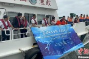 占卜分析浙江今年计划放流种类海洋水生生物苗种超15亿单位